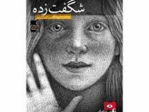 شگفت زده (برایان سلزنیک، رضی هیرمندی)