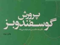 پرورش گوسفند و بز (رضا ولی زاده)