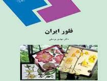 فلور ایران (مهدی یوسفی)