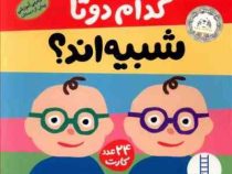 24 عدد کارت کدام دوتا شبیه اند؟ 2 سال پیش دبستان
