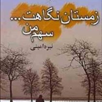 زمستان نگاهت ... سهم من (نیره امینی)