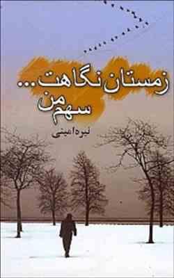 زمستان نگاهت ... سهم من (نیره امینی)
