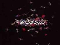 سنجاقک ها (فاطمه راکعی)