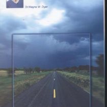 ماندن در مسیر (وین دایر. مژگان انصاری راد)