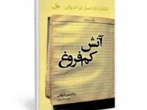آتش کم فروغ (ولاد یمیر نابوکف . بهمن خسروی)