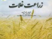 زراعت غلات (یحیی امام)