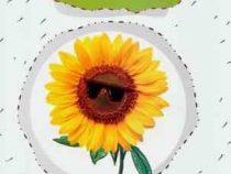 اولین کتابخانه علمی من : راز گل ها (علیرضا اسبقی)