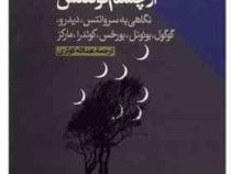 از چشم فوئنتس نگاهی به سروانتس،دیدرو،گوگل،بونوئل،بورخس،کوندرا،مارکز (کارلوس فوئنتس.عبدالله کوثری)