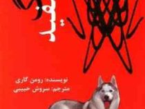 سگ سفید (رومن گاری . سروش حبیبی)