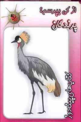 از کی بپرسم : پرندگان