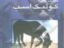 دست نامه کولیک اسب (وایت ادواردز . کامران شریفی)