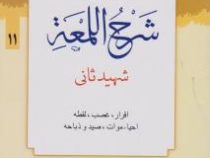 ترجمه و تبین شرح اللمعه جلد11 :اقرار،غصب،لقطه،احیاء،موات،صید و ضباحه