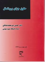 حقوق جزای بین الملل (حسین میر محمد صادقی)