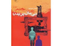 بی بال پریدن