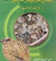 راهنمای کامل پرورش بلدرچین از ابتدا تا انتها