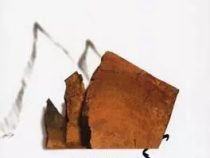 کوه پنجم (پائولو کوئیلو . حسین نعیمی)