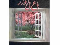 باغ بی آواز (نسرین ثامنی)