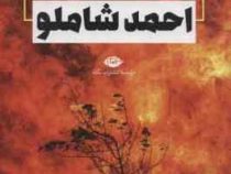 ابراهیم درآتش (احمد شاملو)
