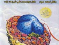 زیست شناسی سلولی مولکولی (احمد مجد ،سید محمد علی شریعت زاده)