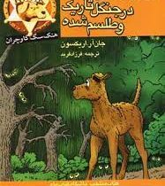 گمشده در جنگل تاریک و طلسم شده (جان آر. اریکسون، فرزاد فربد)