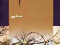 تو سهم منی