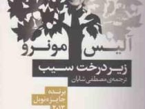 زیر درخت سیب (آلیس مونرو مصطفی شایان)
