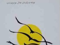 آموزش مراقبه (مدی تیشن)