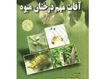 آفات مهم درختان میوه (مرتضی اسماعیلی)
