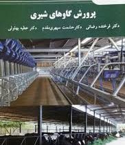 پرورش گاوهای شیری