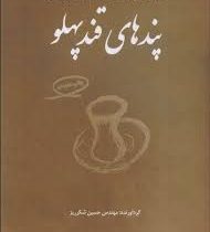 پند های قند پهلو (مجموعه از 51 داستان زیبا 51 نکته عبرت آموز)