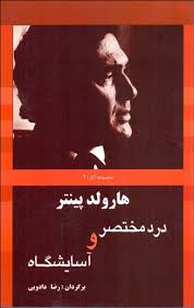 درد مختصر و آسایشگاه (هارلود پینتر . رضا دادویی)