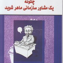 چگونه یک مشاور سازمانی ماهر شوید ( مارسیا میسلین . شهناز متظهری )