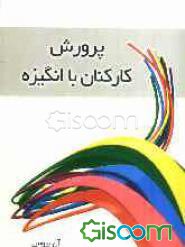 پرورش کارکنان با انگیزه ( آن بروس . علی محمد نیا )