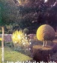 طراحی باغ و احداث فضای سبز (مهندس غزاله روحانی)