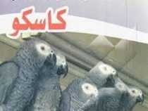 آموزش سخن گویی ،نمایش ها و مهارت ها به کاسکو (دکتر مسعود هاشمی)