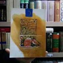 پنجره های آسمان2(درباره معصومین)، (بابک نیک طلب)