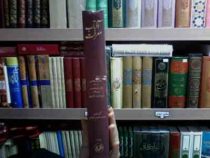آفتاب معرفت (دکتر عبدالحسین زرین کوب)