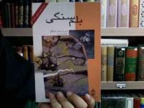 بلم سنگی (ژوزه ساراماگو، مهدی غبرائی)