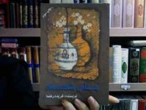 مینای شکسته (فریده رهنما)