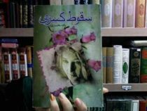 سقوط کسری (پگاه بختیاری)