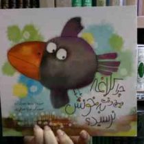 چرا کلاغه هیچ وقت به خونش نرسید (وجیهه عبدیزدان)