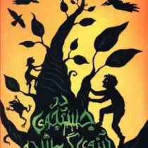 در جستجوی آینه ی گمشده (ادم گیدویتز . طوبی سلیمانی موحد)