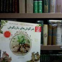 خرگوش های بازیگوش(هلن بیت ریکس پاتر.رضا قربانی)