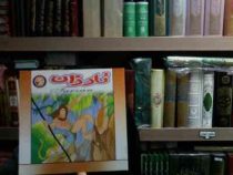 کتاب و سی دی تارزان(م.محمدی)