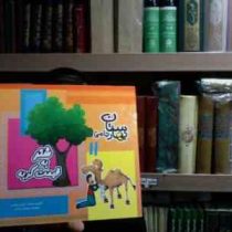 شتر به قیمت گربه(مرتضی حاتمی.پریسان مبارکی)