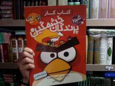 کتاب کار پرندگان خشمگین(مرضیه جعفری)