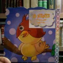 کتابکار 5 :آشنایی با پرندگان .رنگ آمیزی (محدثه محمدی)