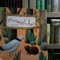 قصه های جنگل از کلیله و دمنه :طوقی کبوترها و دام (ناصر کشاورز.حمیدرضا بیدقی)