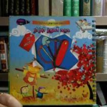 شیوه های تقویت هوش و یادگیری زبان :دیدآموز ابزار (لیلا مقصودی)