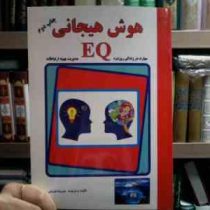 هوش هیجانی :مهارت در زندگی روزمره (علیرضا قربانی)